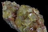 Lustrous, Yellow Cubic Fluorite Crystals - Morocco #37484-5
